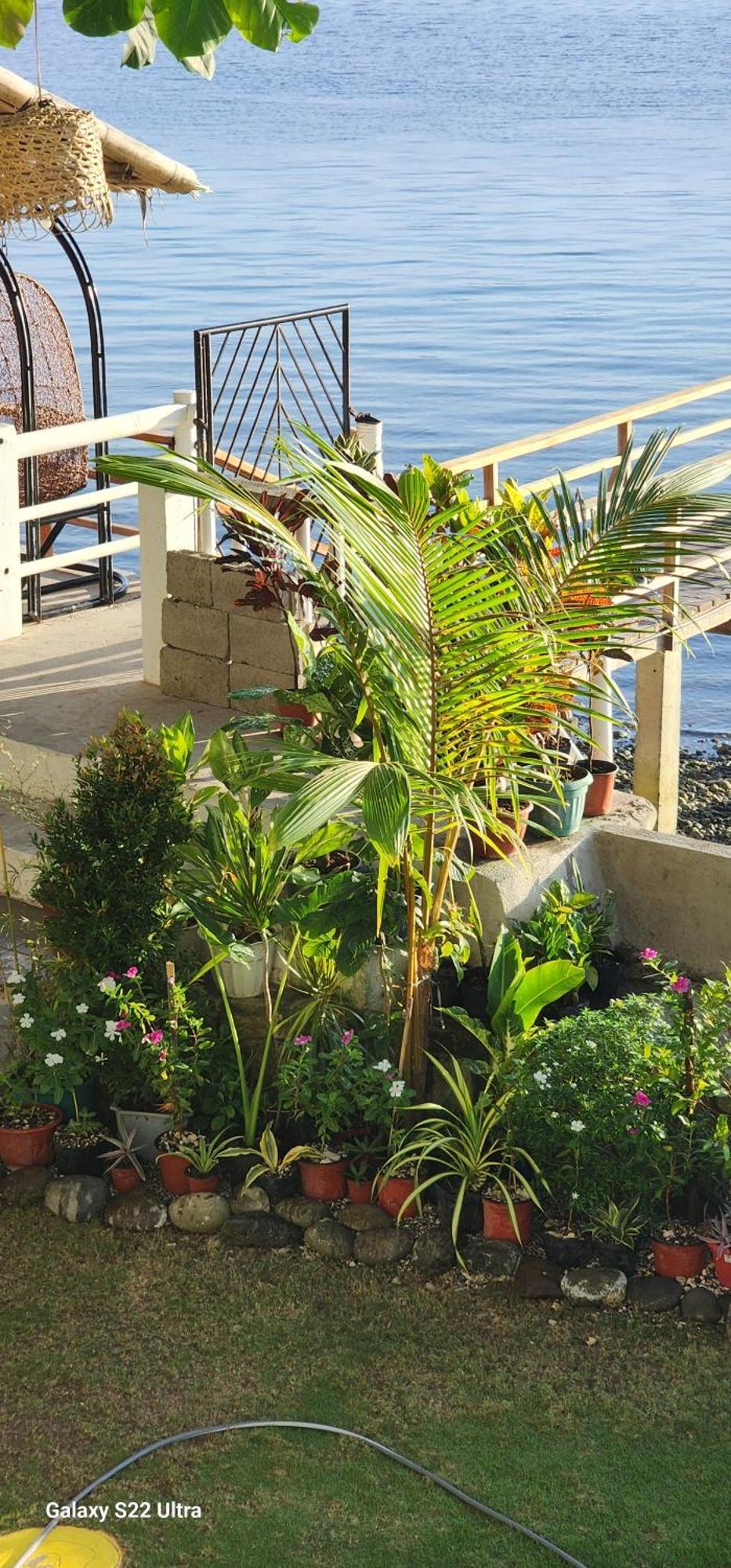 Chue&Larry'S Beachside Homestay Libagon Exterior foto